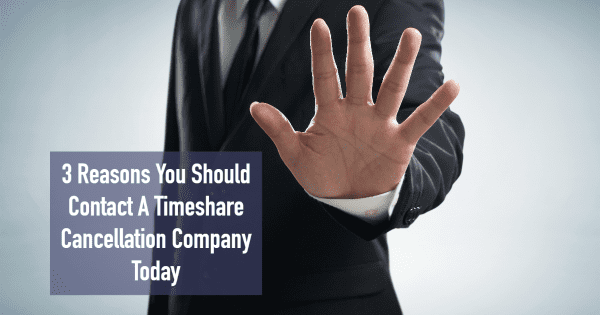 3 Reasons You Should Contact A Timeshare Cancellation Company Today