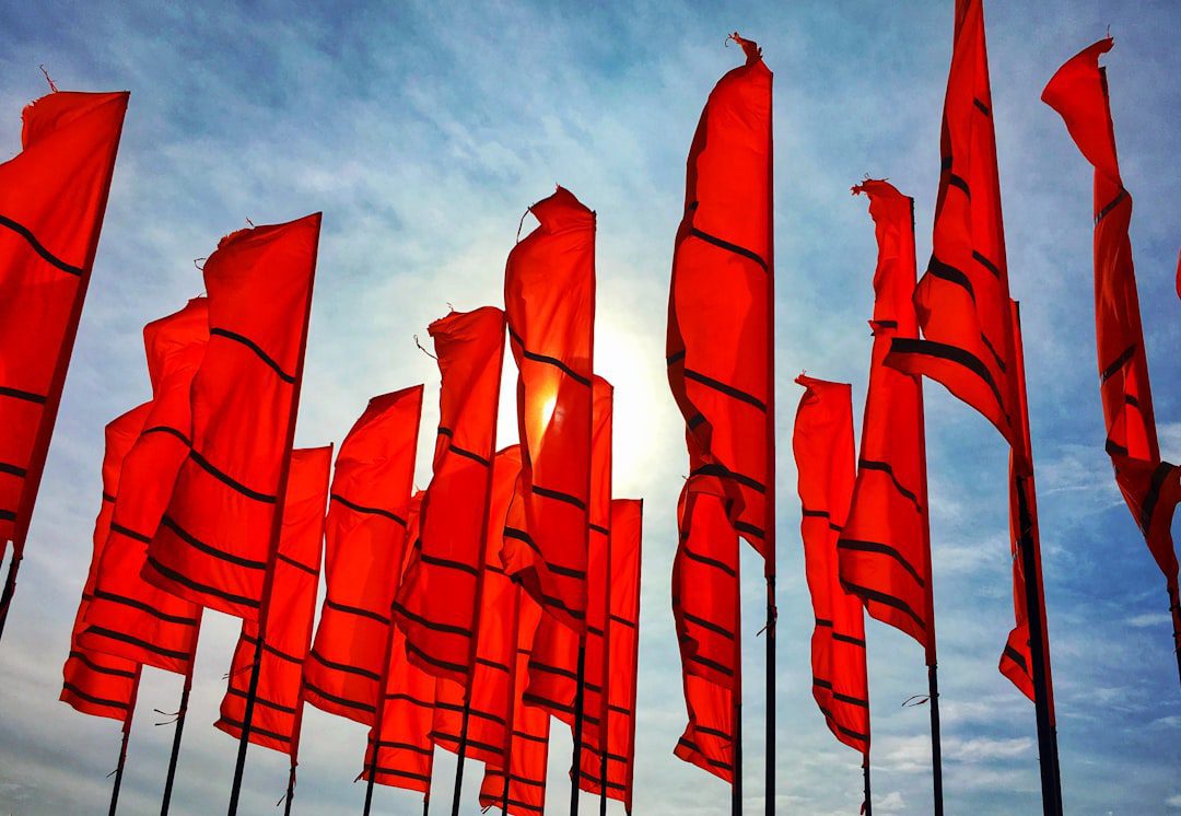 red flags - are timeshare cancellation companies legit