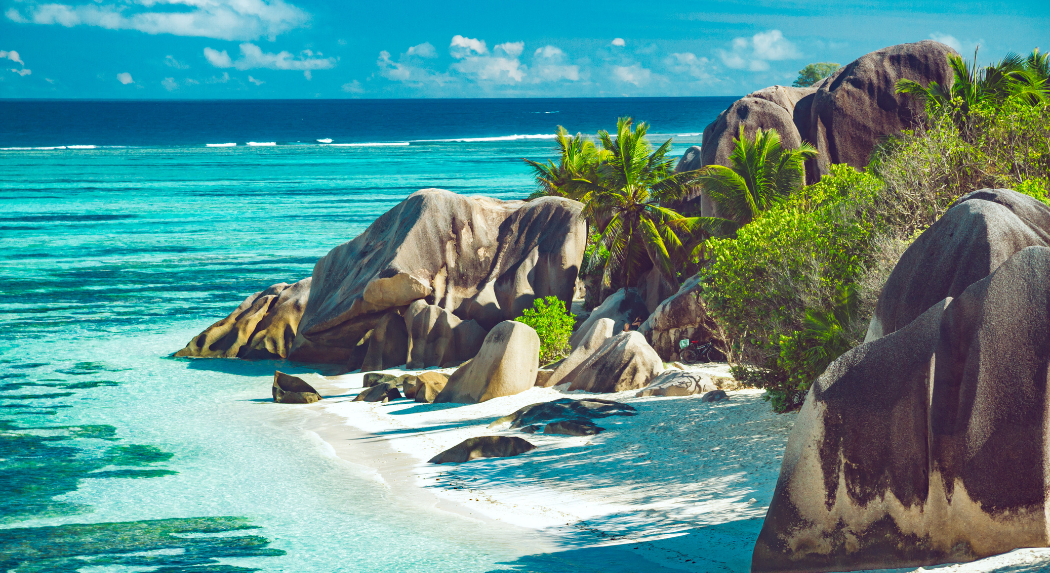 How Legal Experts Navigate the Fine Print in Timeshare Deals - How To Get Out Of A Timeshare